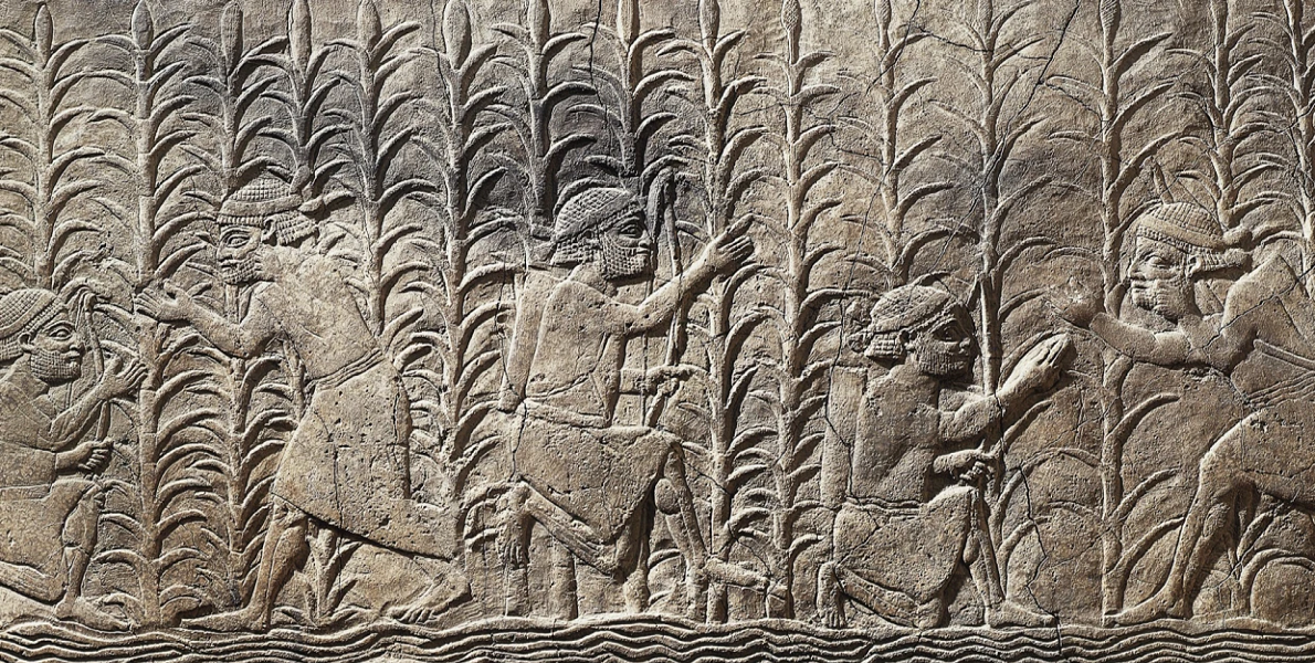 SIU Ancient Practices Sumerian farming